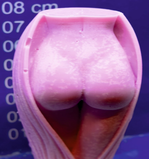 Rückseite