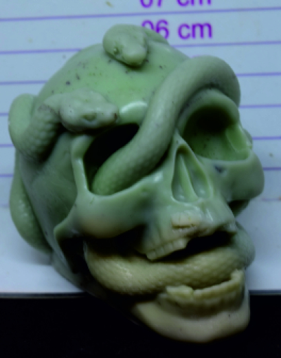 Totenkopf mit Schlange