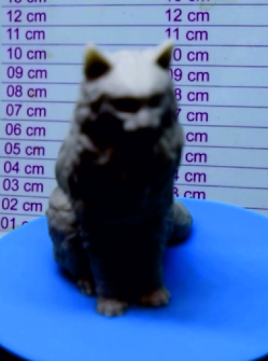 Katzenform