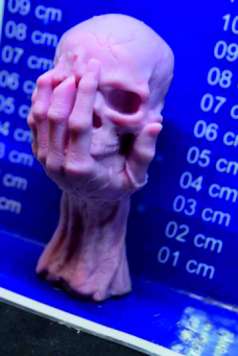 Hand mit Totenkopf Hand mit Totenkopf