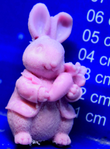 Hase mit Möhre Hase mit Möhre