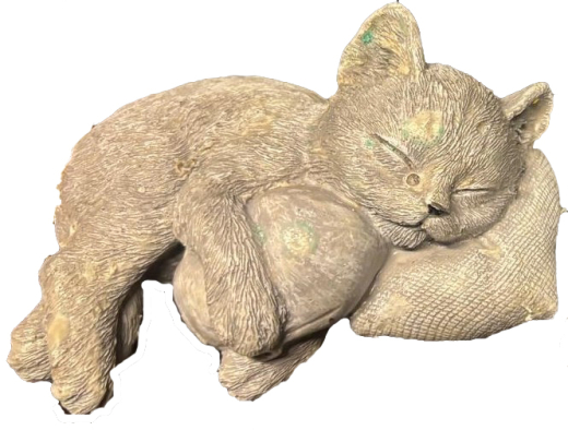 schlafende Katze auf Kissen