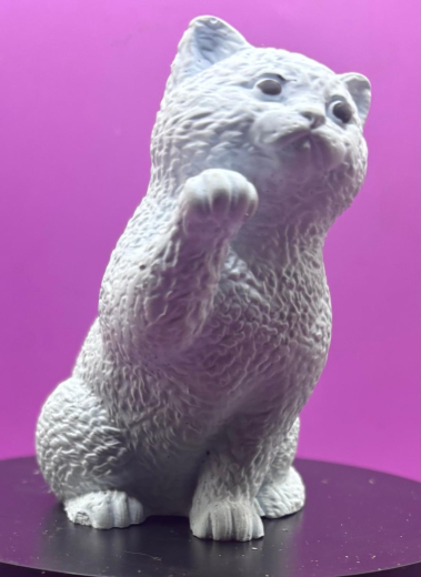 Britisch-Kurzhaar-Katze