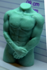Torso Mann
