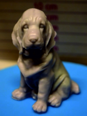 Hund (2)