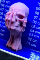 Hand mit Totenkopf