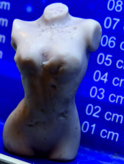 Frauen Torso