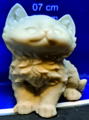 Katze