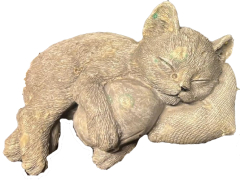 schlafende Katze auf Kissen