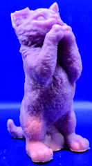 bettelnde Katze