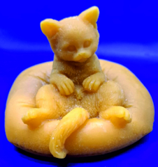 Katze auf Kissen