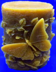 Schmetterling & Rosen