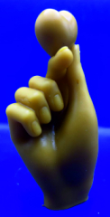 Romantische Herz- & Finger-Geste