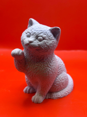 Britisch-Kurzhaar-Katze