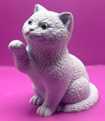 Britisch-Kurzhaar-Katze