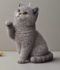 Britisch-Kurzhaar-Katze