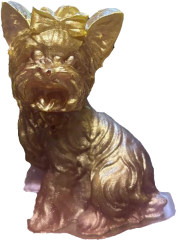 Yorkshire-Terrier